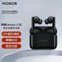 荣耀Earbuds 2 SE 真无线蓝牙耳机 幻夜黑