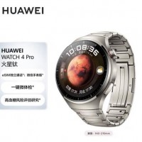 Watch4Pro 48mm火星钛-钛金属表带