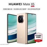 Mate X5 12+256 羽砂金