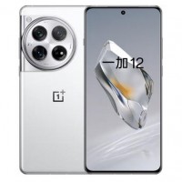 一加 12(5G) 24+1TB 留白