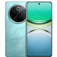 Y300Pro(5G) 12+256 金镶玉