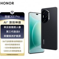 荣耀300Pro(5G) 16+512墨岩黑
