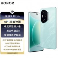 荣耀300Pro(5G) 16+512茶卡青