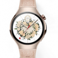 Watch5 42mm 星云杏 素皮复合表带 904L不锈钢