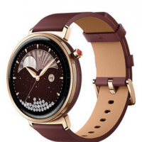 荣耀手表Fit 摩卡棕 雅致版